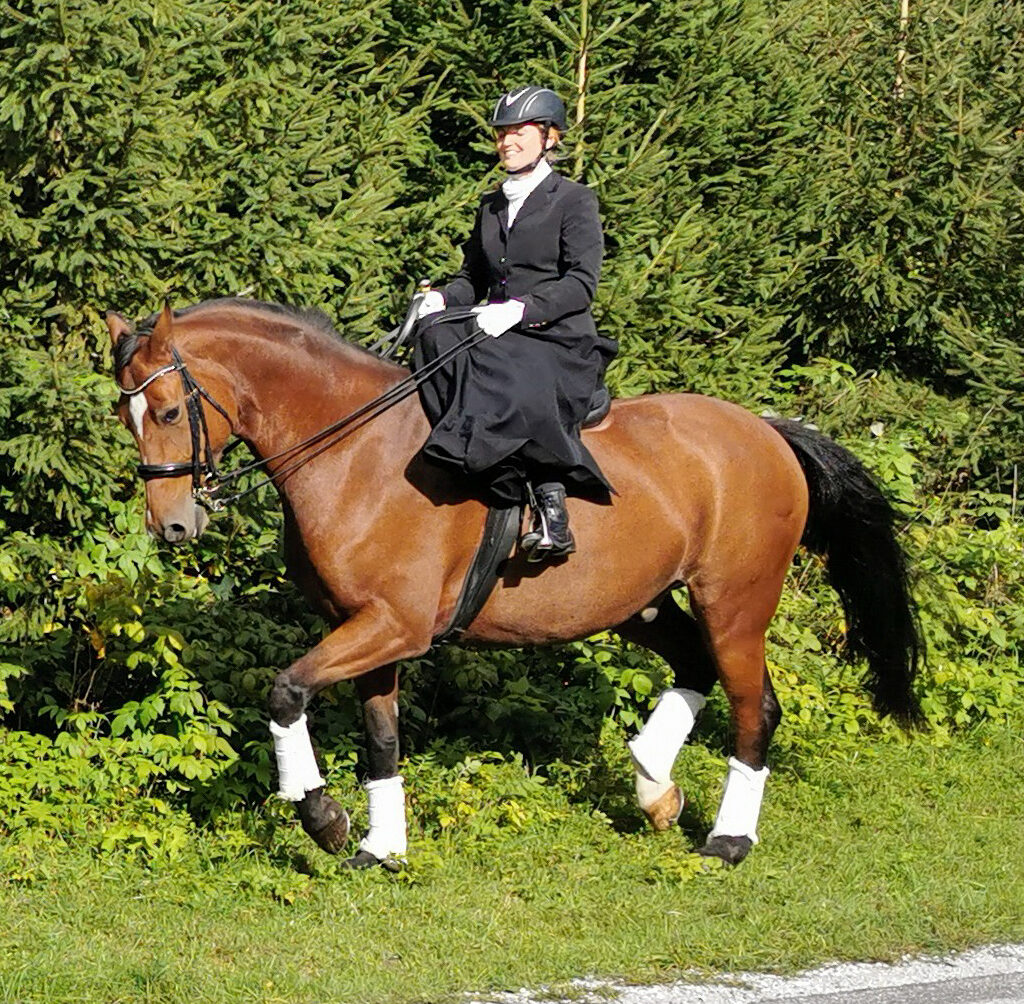 Reiten im Damensattel